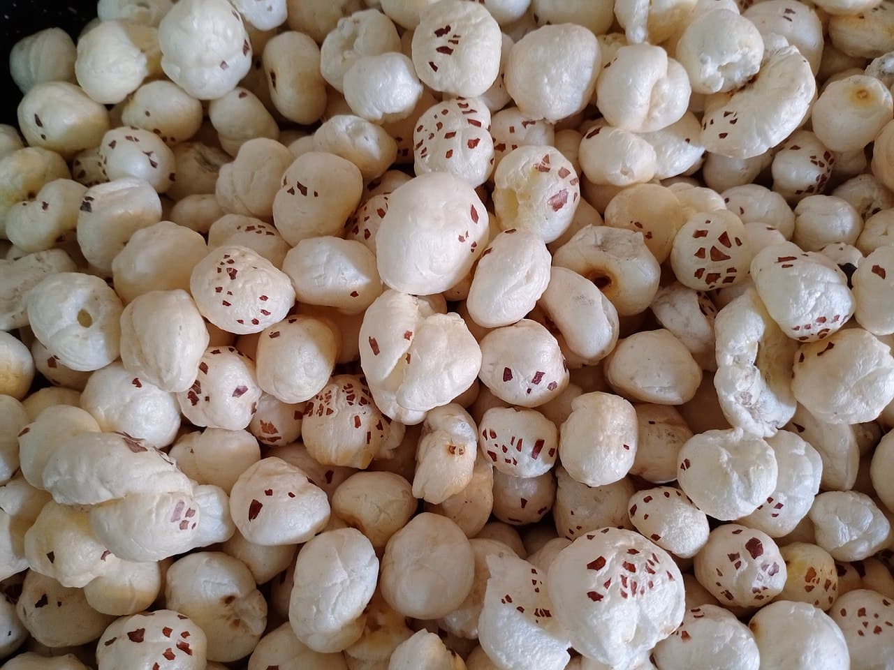Makhana (foxnut) from Bihar